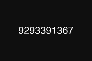 9293391367