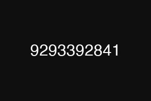 9293392841