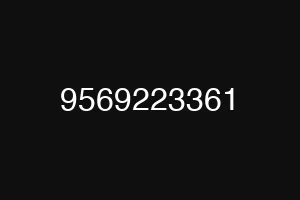 9569223361